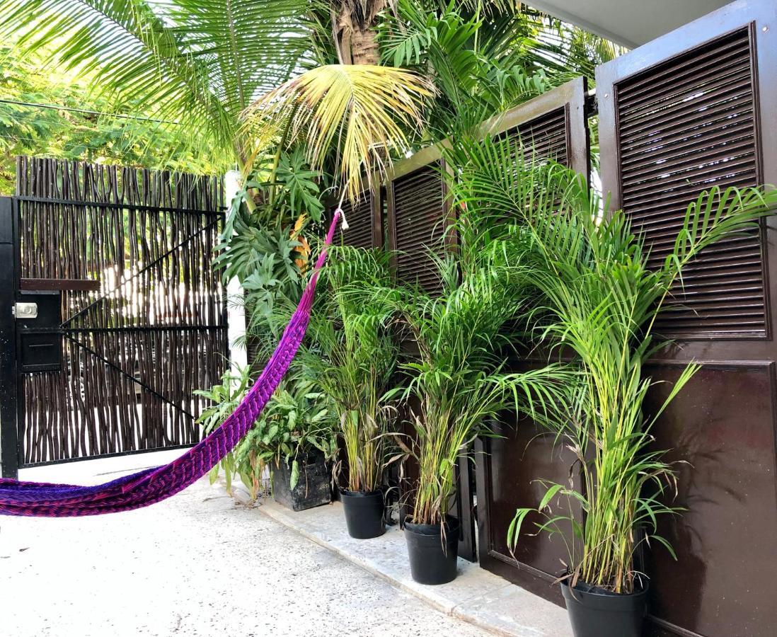 Casa Tropical Hotell Cancún Eksteriør bilde